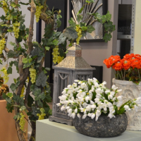 Indoor flowers in ceramic vases