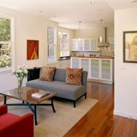 Zoning the recreation area in the kitchen-living room