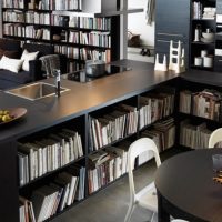 Kitchen furniture with shelves for books