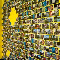 Yellow wall with color photographs