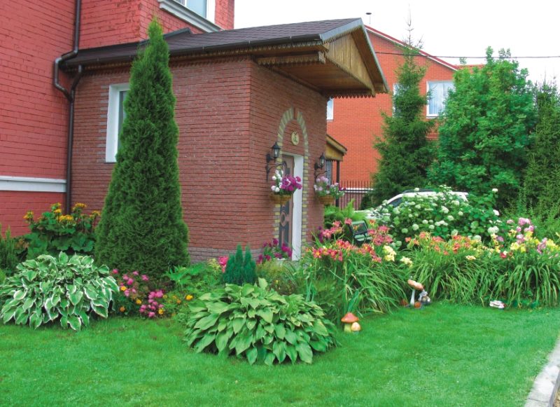 Green lawn with hosts in front of a brick house