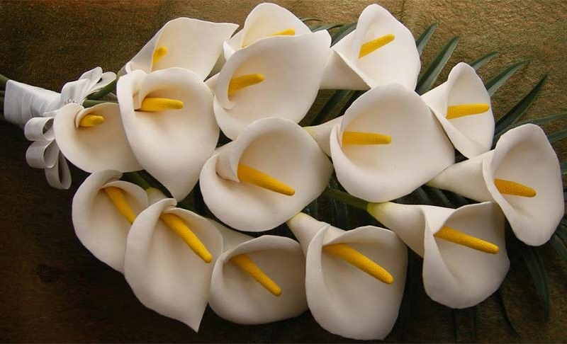 Artificial polymer clay callas