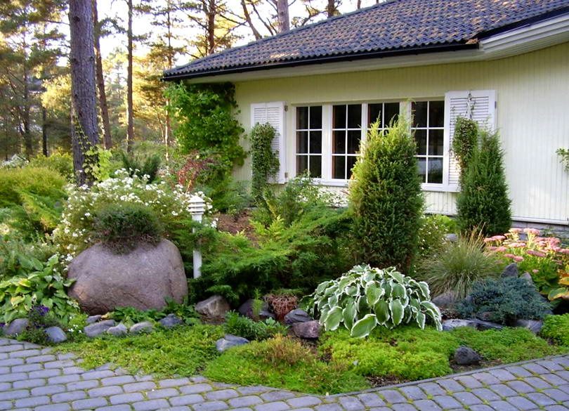 Ha virágágyásokat készít borócából és thuja-ból, akkor csináld magad