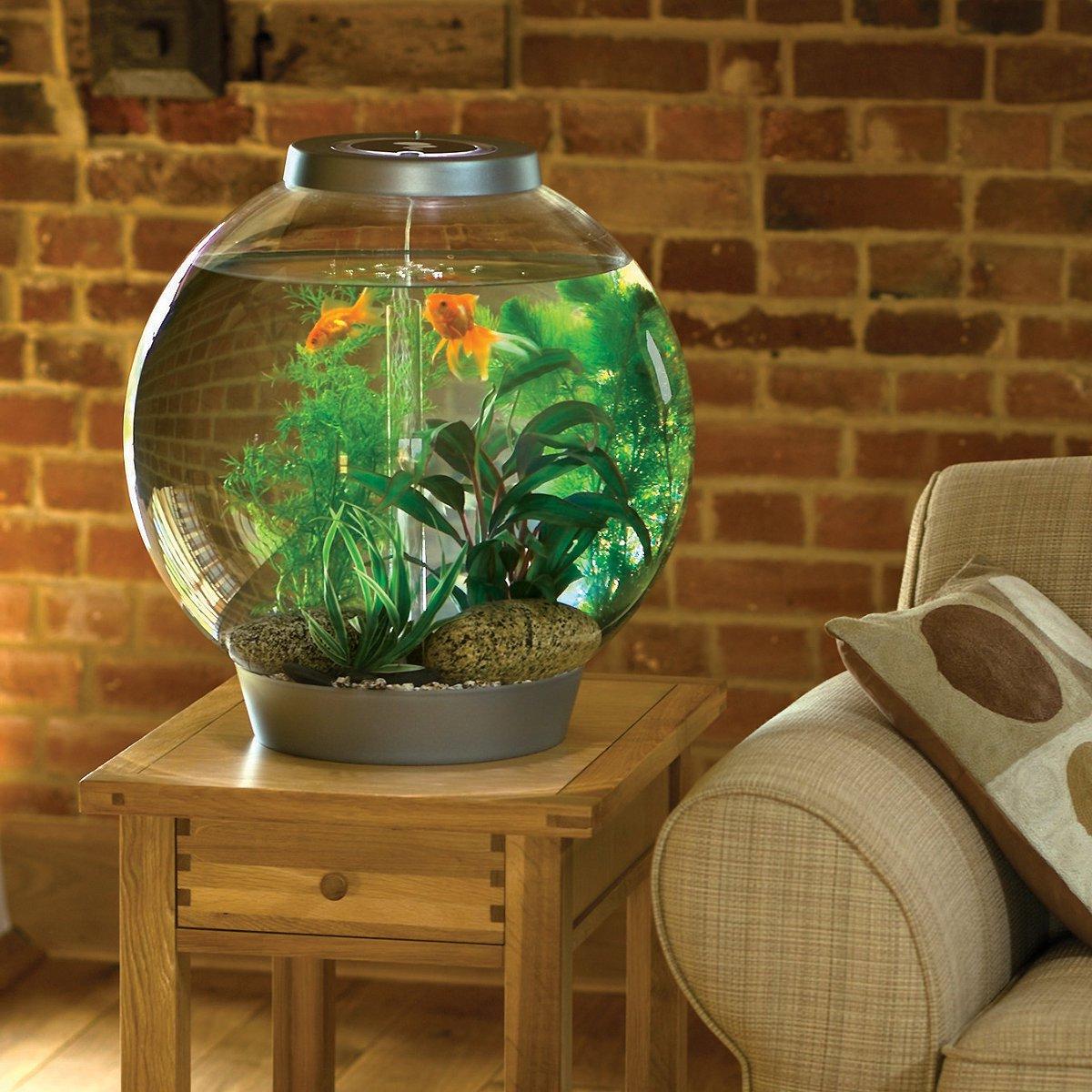 A small aquarium on a wooden nightstand near the sofa