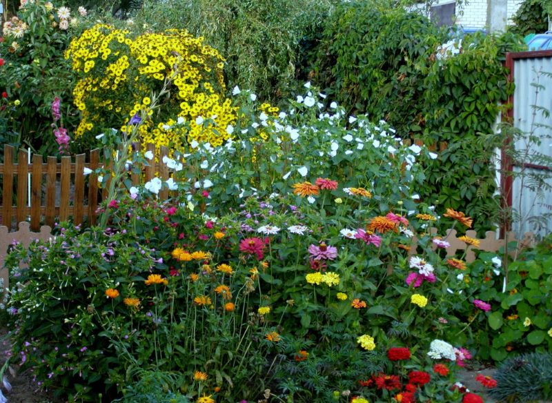 Giardino floreale di autunno al cottage