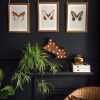 Tri leptira u modularnim slikama