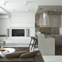 Gray and white minimalist kitchen-living room interior