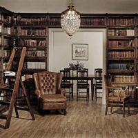 Perpustakaan rumah gaya retro