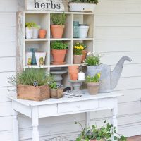 Shelving with home plants in the interior of the apartment