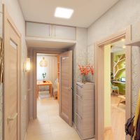 Narrow entrance hall design in a city apartment