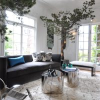 Trees in the interior of a modern living room