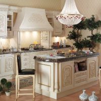 Kitchen furniture with natural wood carvings