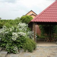 Gazebo dans le toit d'une tuile en métal à l'arrière du jardin