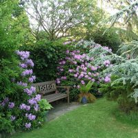 Endroit confortable pour se détendre dans le jardin avec un banc en bois