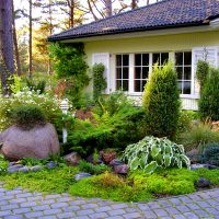 Belle composition avec des plantes arbustives devant une maison de campagne