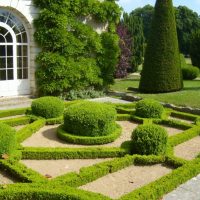 Neat curbs from undersized shrubs