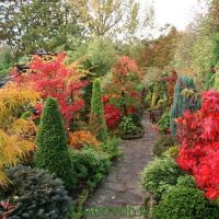 Giardino paesaggistico nel mezzo dell'autunno