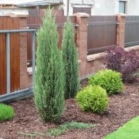 Wooden fence on concrete poles