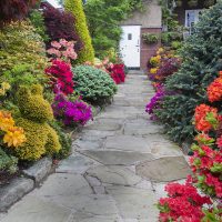 Percorso del giardino di calcare