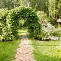 Arco con piante rampicanti su un percorso del giardino