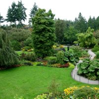 Arbres et arbustes dans un jardin paysager