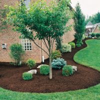 Groupe de plantes devant une maison de briques