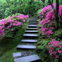 Scala da giardino in pietra naturale