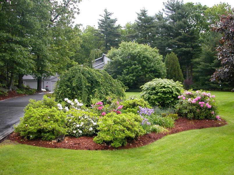 Composition of undersized shrubs with various crown shapes