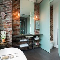 Brick walls in combined bathroom