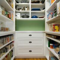 Linoleum under a tree on the floor in the pantry