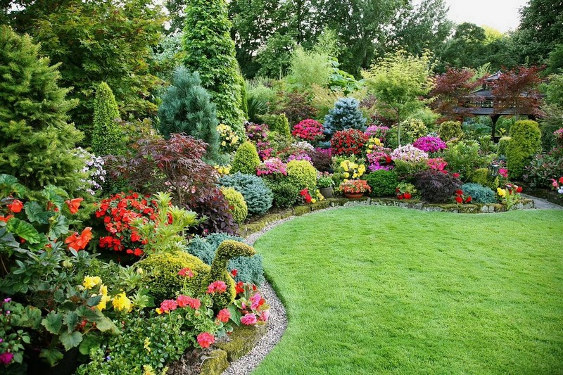 Mixborder magnifique dans la conception de jardin