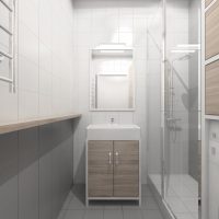 Bathroom design with shower