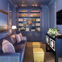 Design a small living room in blue tones