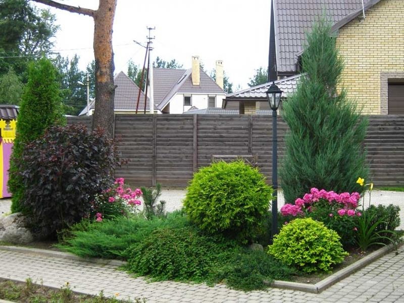 Plate-bande mélangée avec des plantes à feuilles caduques et de conifères