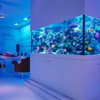 Aquarium à l'intérieur du salon d'une maison privée