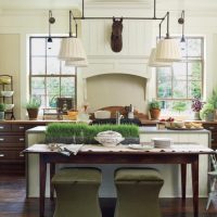 Living plants in the interior of the kitchen-living room