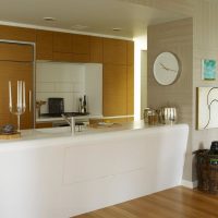 Acrylic bar counter in the kitchen-living room