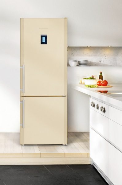 Frigo sec