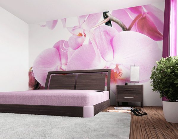 Photo wallpaper in the bedroom is very popular