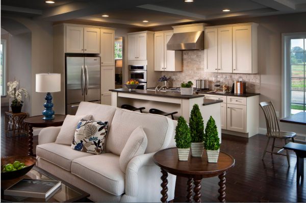 Among the ideas of zoning the kitchen and living room stand out original ways with the help of decor and accessories.